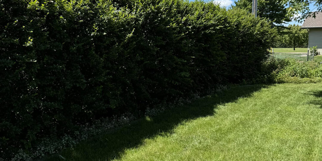 https://naturesedgellc.com/wp-content/uploads/2015/04/473192392_122206263824225154_4514747848023494757_n-1080x540.jpg